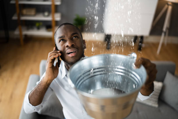 Trusted Palisades Park, NJ Water damage restoration Experts