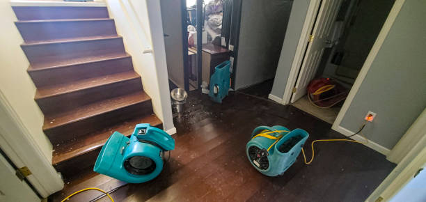 Best Emergency water extraction  in Palisades Park, NJ