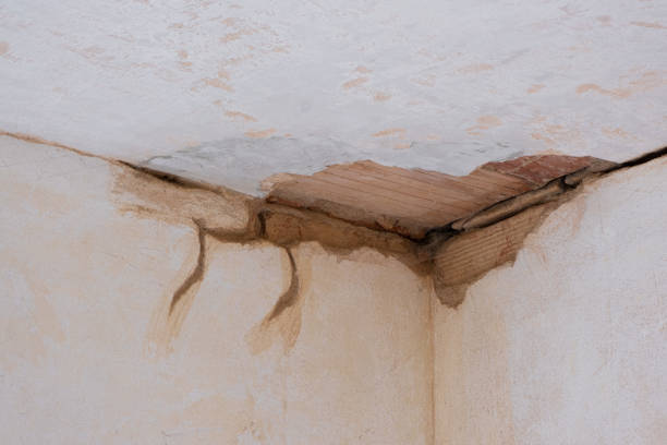 Best 24-hour water damage restoration  in Palisades Park, NJ