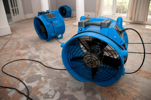 Best Water damage restoration specialists  in Palisades Park, NJ