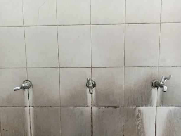 Best Water damage restoration near me  in Palisades Park, NJ