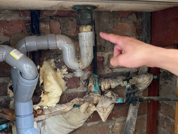 Best Flood damage cleanup  in Palisades Park, NJ