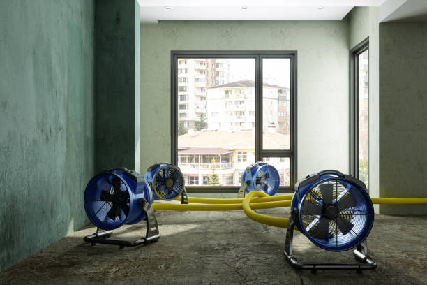 Best Water damage repair service  in Palisades Park, NJ