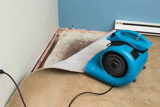 Best Water damage contractors near me  in Palisades Park, NJ